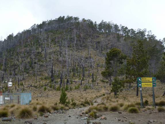 Último trecho para chegar ao cume do Pico Duarte, na República Dominicana